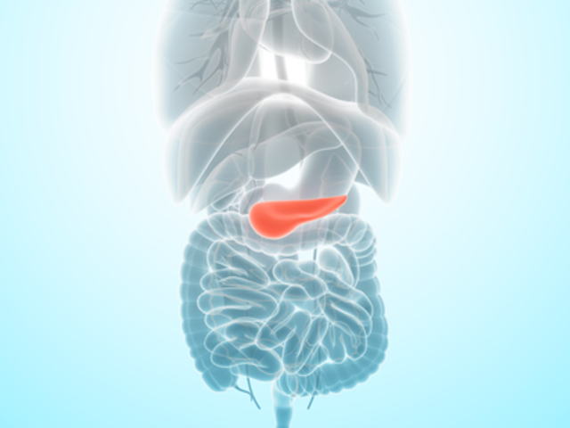 膵臓とは