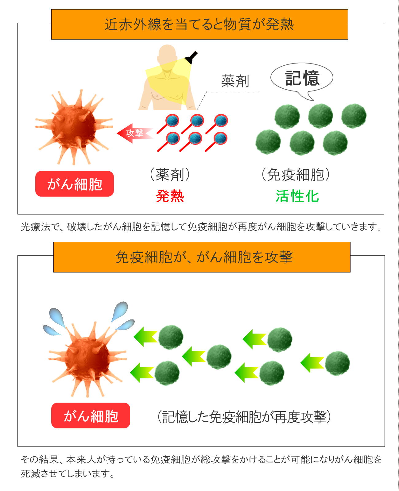 光免疫療法(静岡の方へご紹介)3