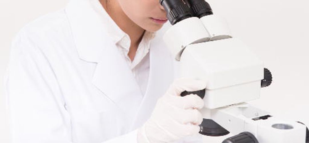 機能検査・がん幹細胞検査